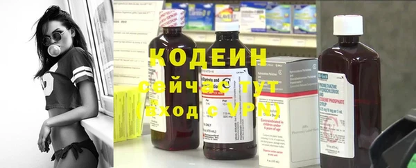 дурь Новодвинск