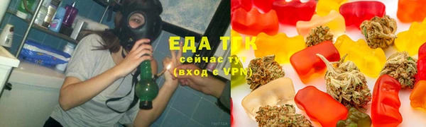 гашик Новозыбков