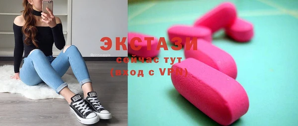 гашик Новозыбков