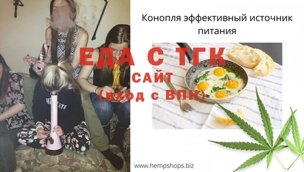 гашик Новозыбков