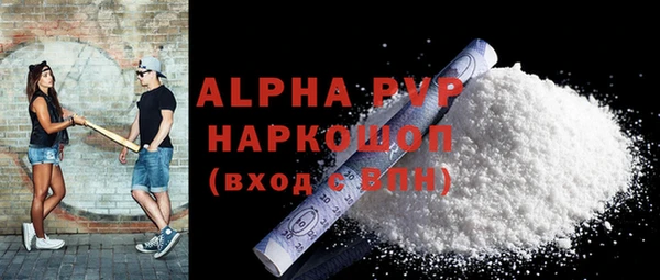 гашик Новозыбков