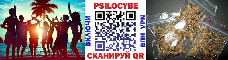 закладка  Зеленоградск  Галлюциногенные грибы MAGIC MUSHROOMS 